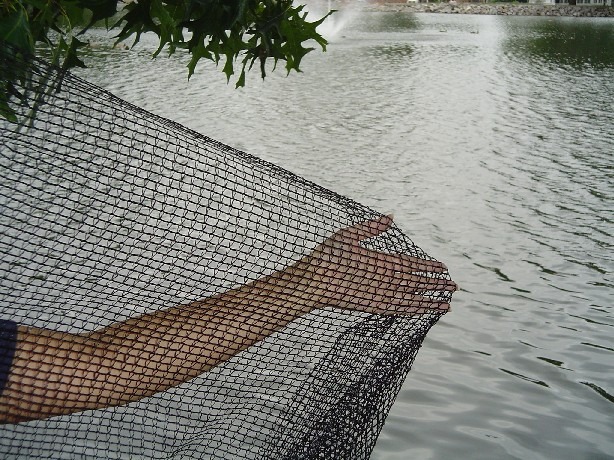 Pond Netting Deluxe - ShadeClothStore.com Pond Netting Deluxe - ShadeClothStore.com