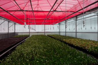 30% ChromatiNet Red Shade Cloth